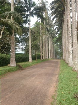 Culture & Heritage - Aburi Botanical Gardens