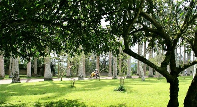 Place to See - A view of the main lawn