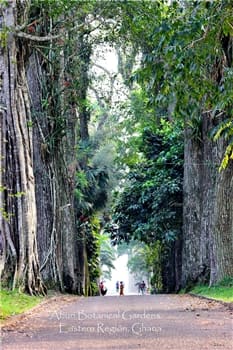 Place to See - The main entrance road into Aburi