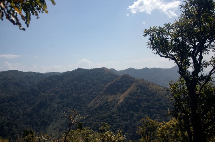 Place to See - The view off Mount Afadjo