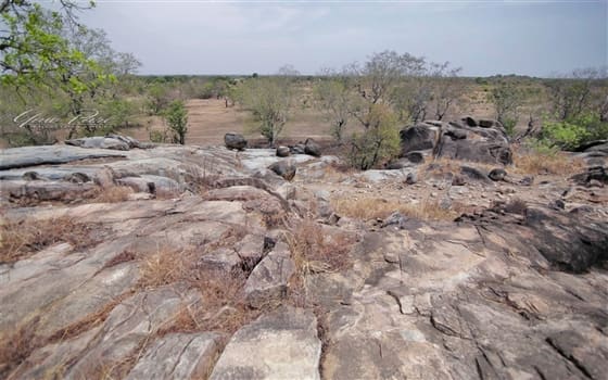 Place to See - The view down the valley