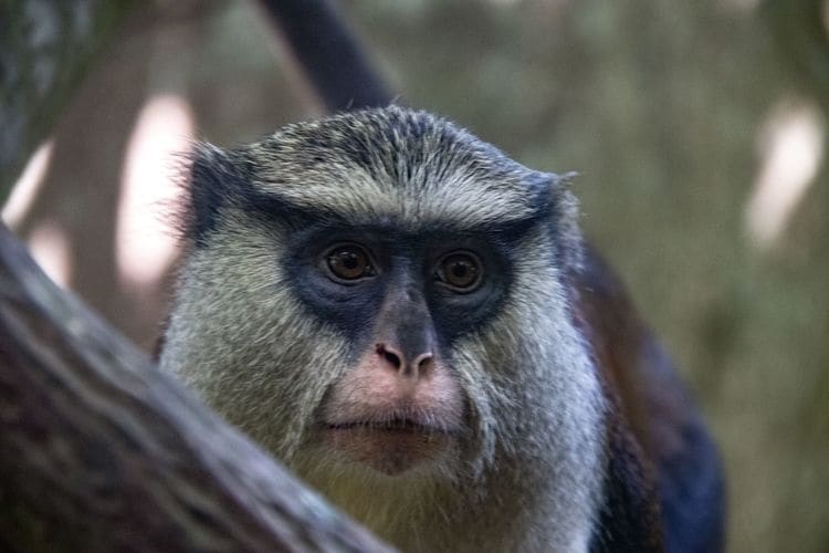 Place to See - Close up